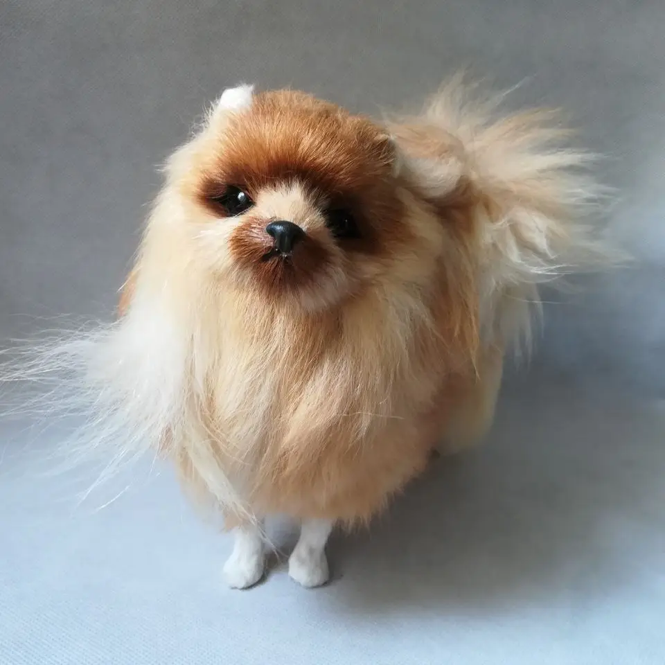 

real life toy dog hard model plastic&furry furs brown Pomeranian model about 24x20cm ,home decoration Xmas gift w1520