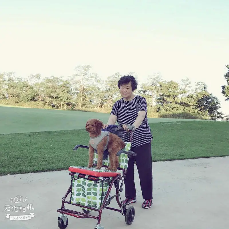 Opvouwbare Draagbare Rollator Walker Met Seat En Wielen, Dikker Stalen Frame Ondersteunt 220LBS Ouderen Winkelwagentje