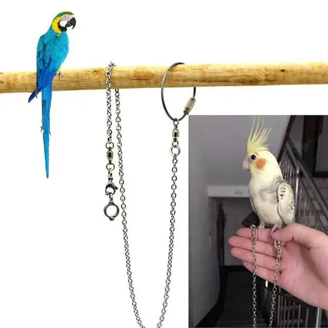 Bird Parrot Foot Chain Stainless Steel Parakeet Ankle Foot Ring Stand Chain Outdoor Cockatiel Flying Training Supplies