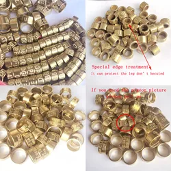 50Pcs 8 mm 11mm Bird parrot Dove Pigeon Copper Aluminum Leg Rings Custom Aluminum Lettering Rings pigeon necklace