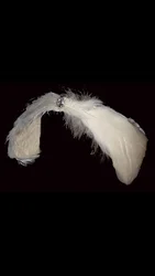 2024 New Swan Lake Headwear  Feather ballet costume accessories Headwear