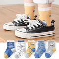Calcetines para Coche