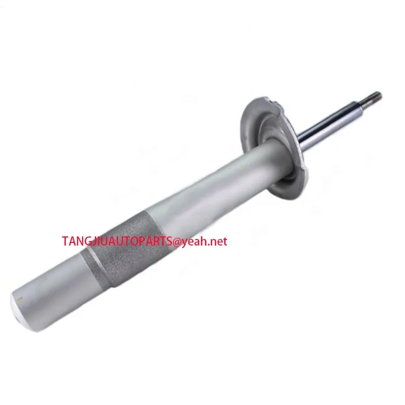 

Front Shock Absorber Fit BMW 5 Series 2005-2010 520d 530d 535d 523i 520i 545i 550i E60 E61