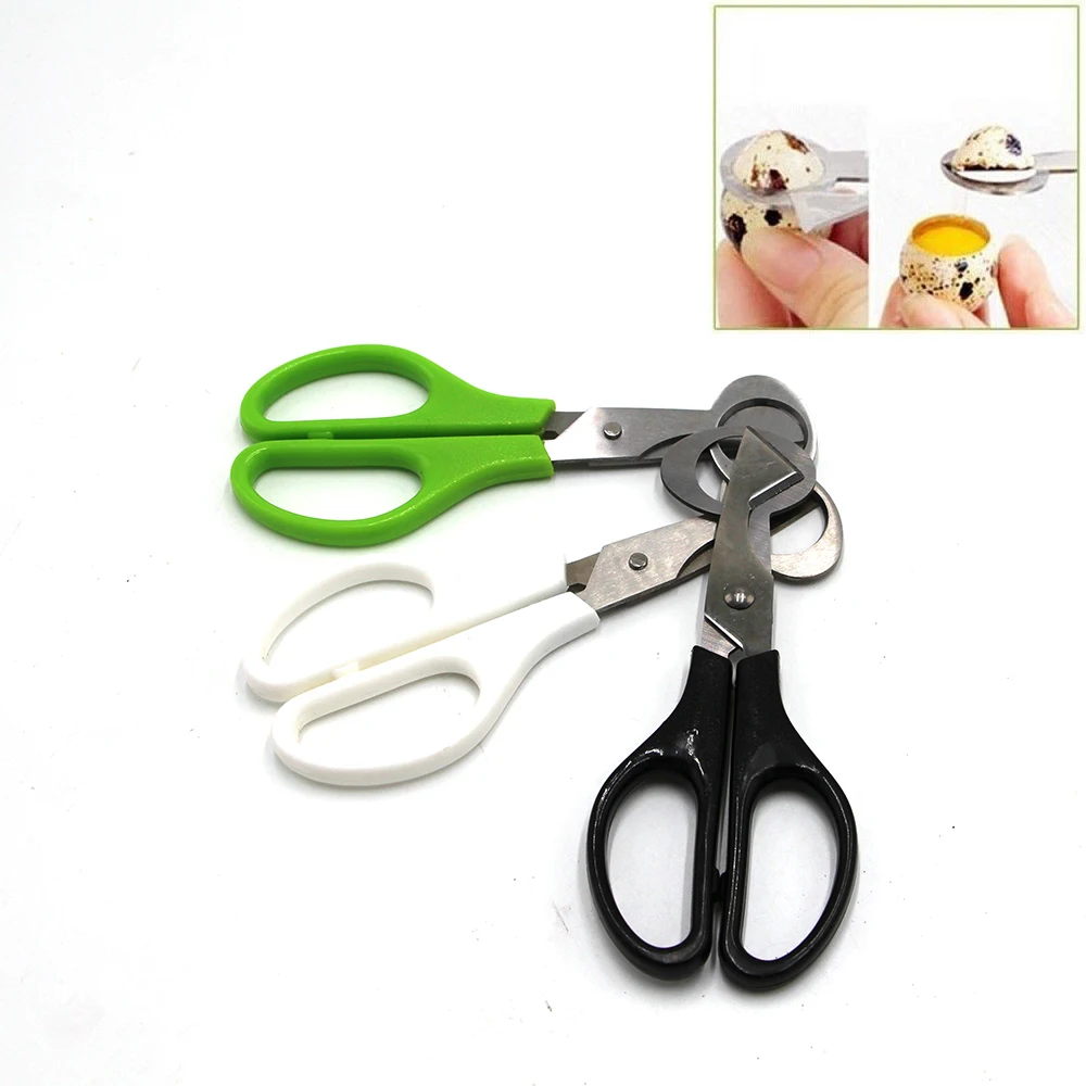 30PCS Birds Quail Egg Scissors Pigeon Cutting Opener Cutter Kitchen Cracker Clipper Shear Slicers Stainless Steel Tools