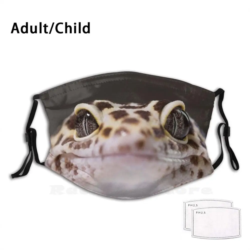 Gecko-mascarilla con filtro antipolvo para adultos y niños, máscara con diseño de leopardo, lagarto, vida silvestre, reptil, naturaleza, Herpetología, animales, lagartos