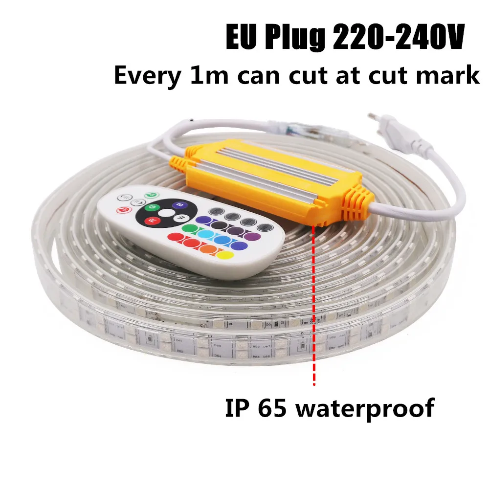 Imagem -04 - Conduziu a Luz de Tira Rgb 5050 60 120leds m Fita Flexível Uso Exterior Impermeável Tira Clara Conduzida com Controle Remoto ir 220v