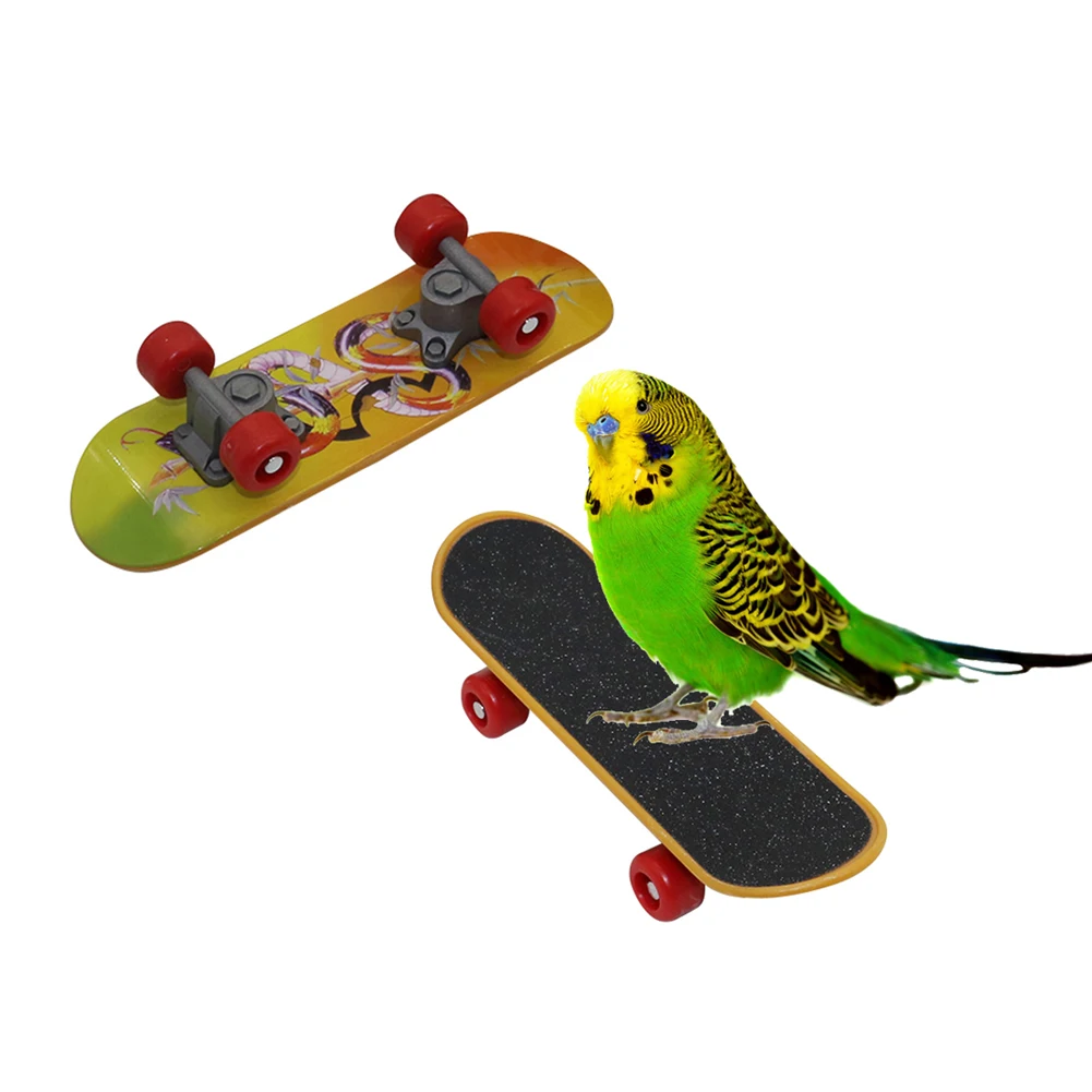 Pet Bird Supplies Pet Intelligence Foot-talon Toys Training Mini Skateboard Stand Perch for Parrot Parakeet Training supplies