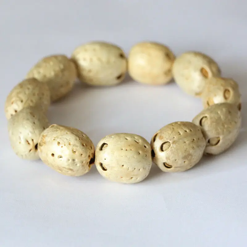 5-Eyes 6-Through Bodhi Seeds Tibetan Buddhism Bracelet