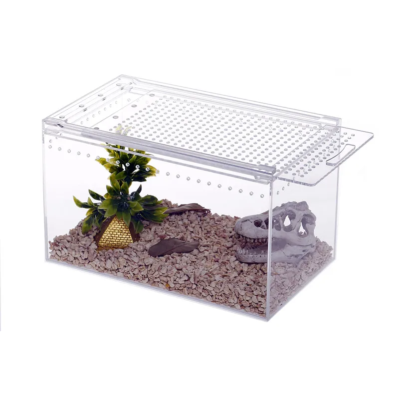 1PCS 4 Size Acrylic Reptile Feeding Box Insect Box Praying Mantis Reptile Home Insect Cage Reptile Terrariums