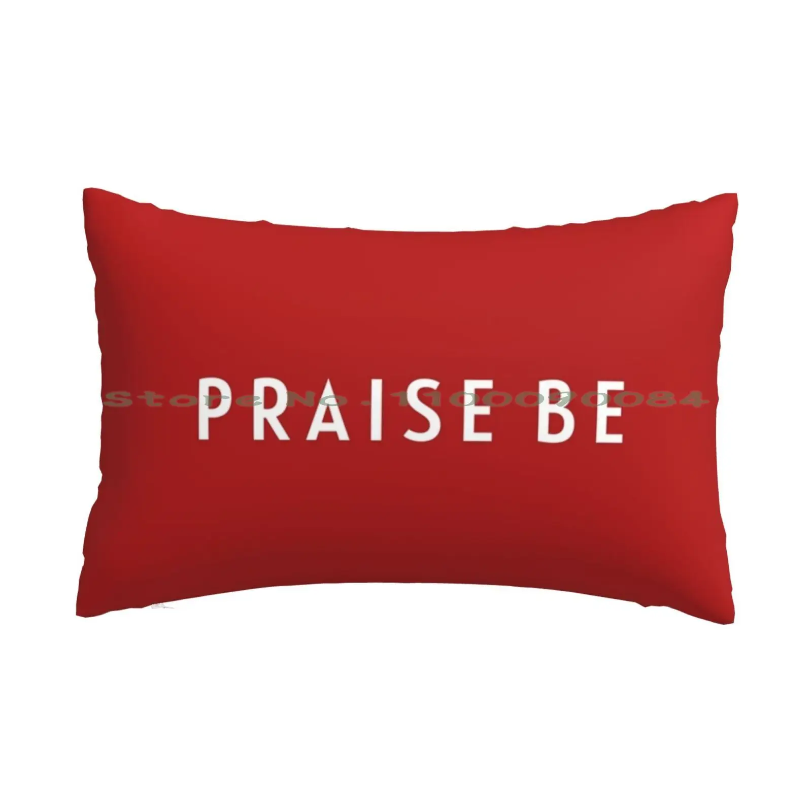 Handmaids-Praise Be Pillow Case 20x30 50*75 Sofa Bedroom Jared Manninen Lake Tahoe Sierra Nevada Birds Birding Birder