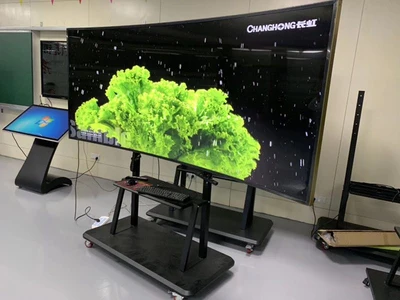 110 Inch Melengkung Layar 4K Monitor Tampilan Multi Bahasa TV KTV TV Android OS Smart TV LED TV