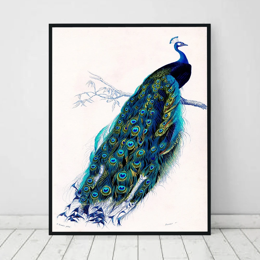 Victorian Peacocks Bird Illustration Print Vintage Poster Bird Peacocks Picture Retro Wall Art Canvas Painting Living Room Decor