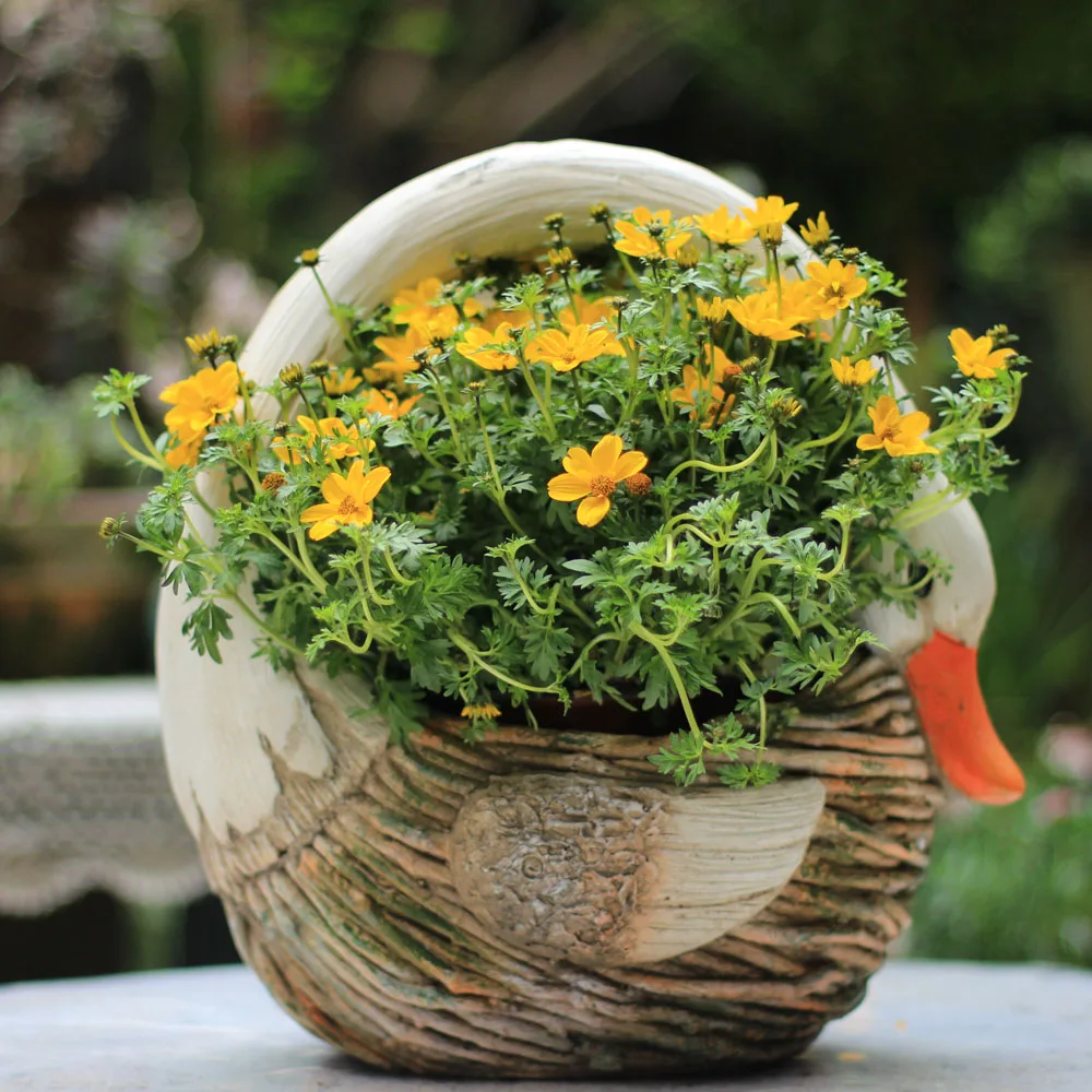 Pastoral Animal Cement Flower Pot Ornaments Cute Swan Turtle Succulent Potted Statues Decoration Courtyard Balcony Figurines Art