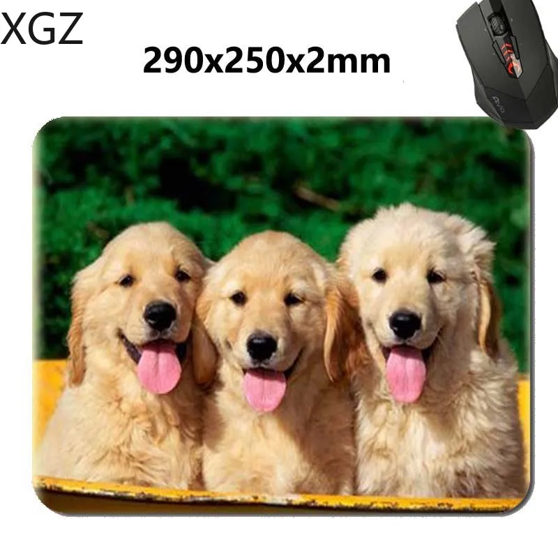 XGZ Animals Cat Kitten Dog Golden Retriever Puppy Mousepad,Custom Rectangular Mouse Pad in 220*180*2mm - office accessory and