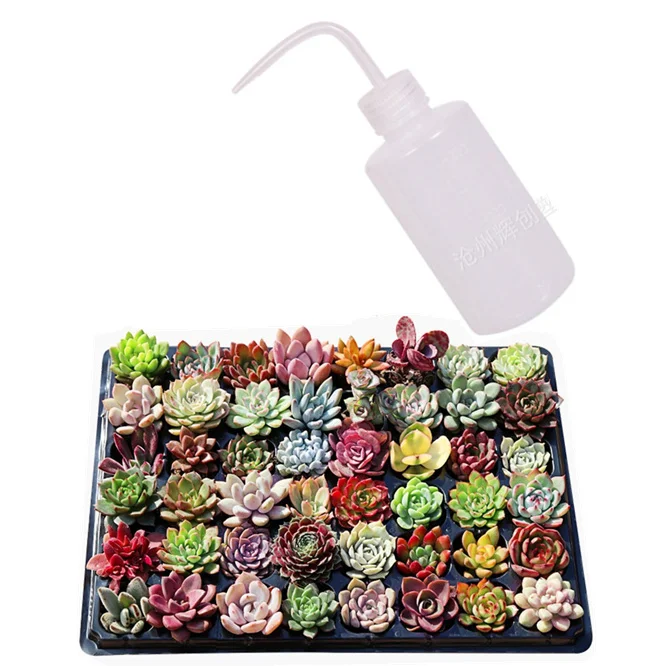 100pcs Succulents Special Plant Flower Watering Can Squeeze Bottles With Long Nozzle Water Beak Pouring Kettle Tool Garden Tools