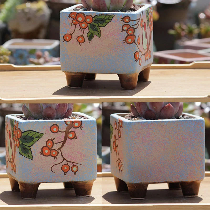 Hand-painted Succulent Plant Pots Three-dimensional Relief Stoneware Pots with Square Feet Spray Glaze Without Green Ceramics