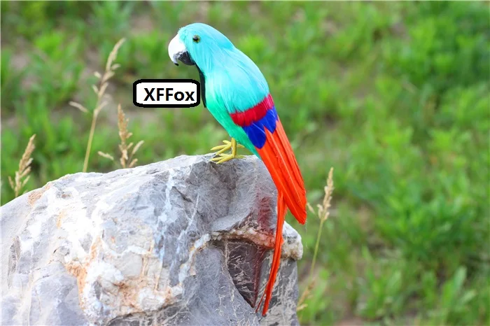 cute real life parrot model foam&feather blue&orange parrot bird gift about 30cm xf2605