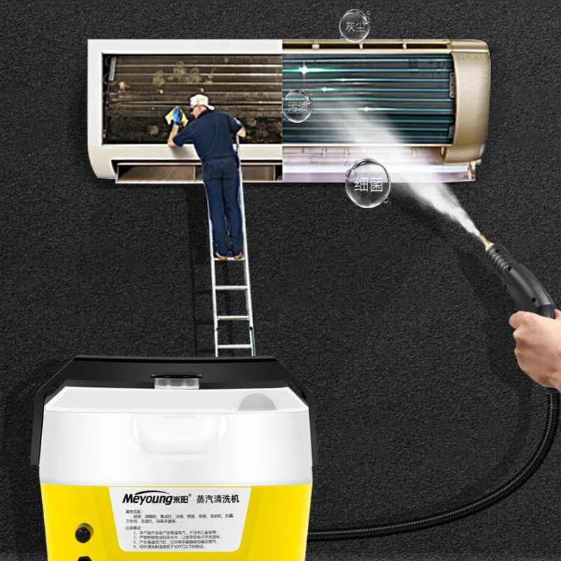 Steam Cleaner Home Use High Temperature Disinfect Disinfect Cooker Hood Air Conditioning Cleaning Machine Car Washer