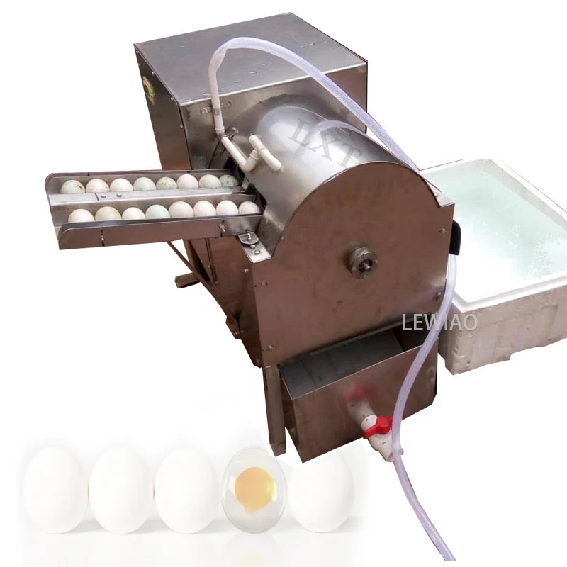 Double Row Electric Egg Washing Machine Chicken Duck Goose Egg Washer Egg Cleaner Wash Machine Poultry Farm Equipment