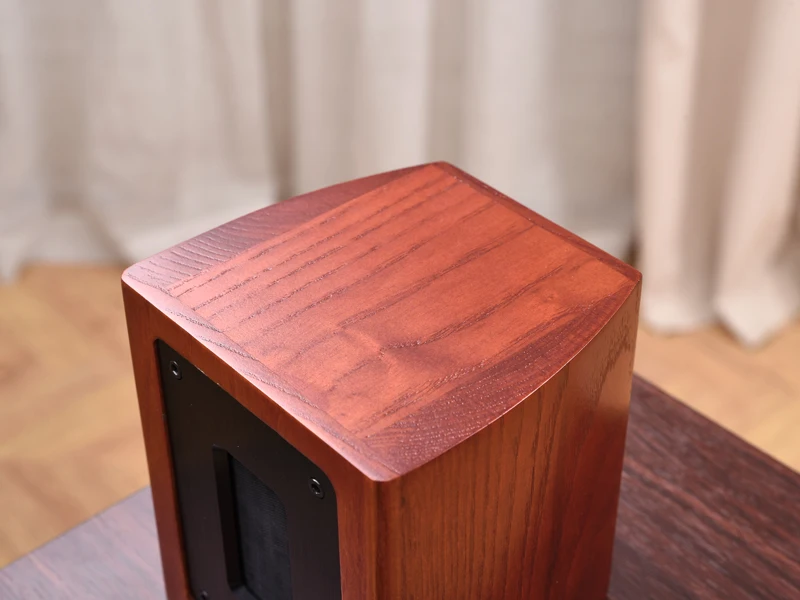 قطعة واحدة (مكبر صوت واحد) TAULSEN T3 تسخين خارجي من الجيل السادس ومكبر صوت UHF خارجي بحزام مغناطيسي مع طاقة