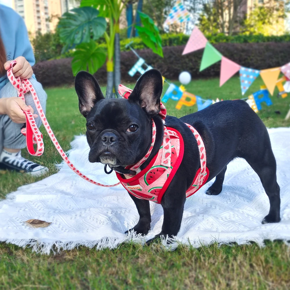 Imagem -05 - Moda Impresso Arnês do Cão com Colar de Harmonização Trela Bolsa de Cocô Bandana para Pequenos Cães Médios Bulldog Francês Presente do Animal Estimação Peças Lote