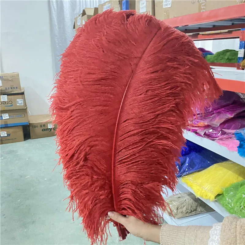 

Beautiful 20-50pcs/lot Red Ostrich Feathers for Craft 26-28inches/65-70cm Dancers Celebration Jewelry Ostrich Feather