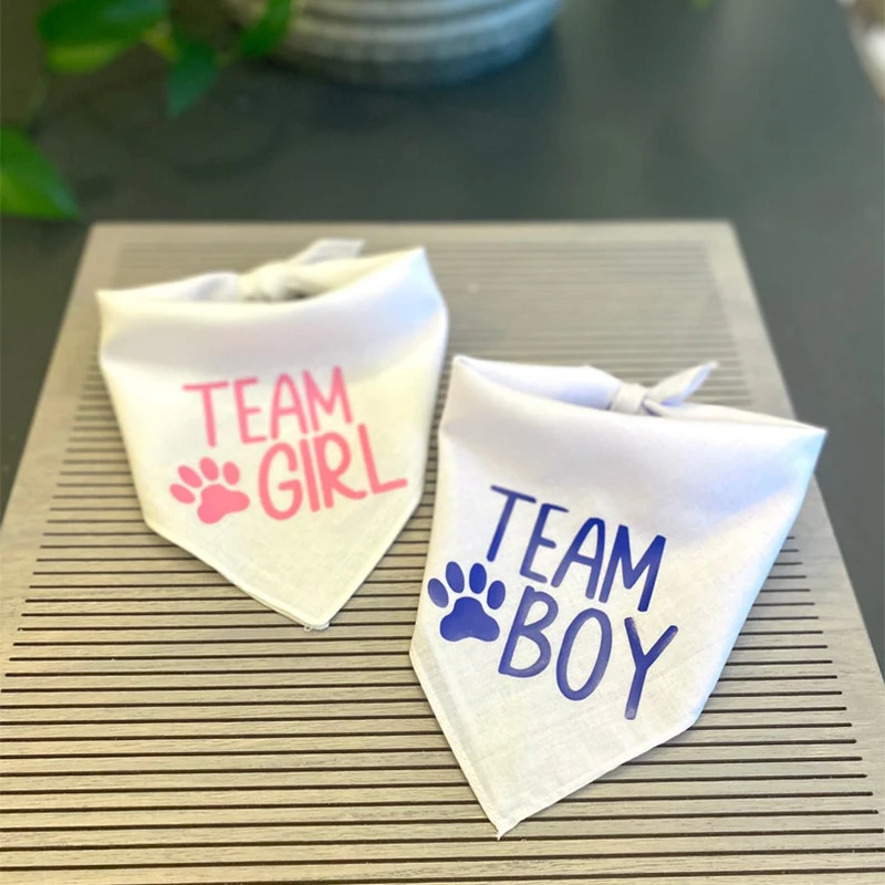 Team Boy Team Girl Hundebandana, Geschlechtsenthüllungsparty, Schwangerschaftsankündigung, Babyparty, rosa oder blaue Dekoration, Geschenk, Foto-Requisiten – Detail 1