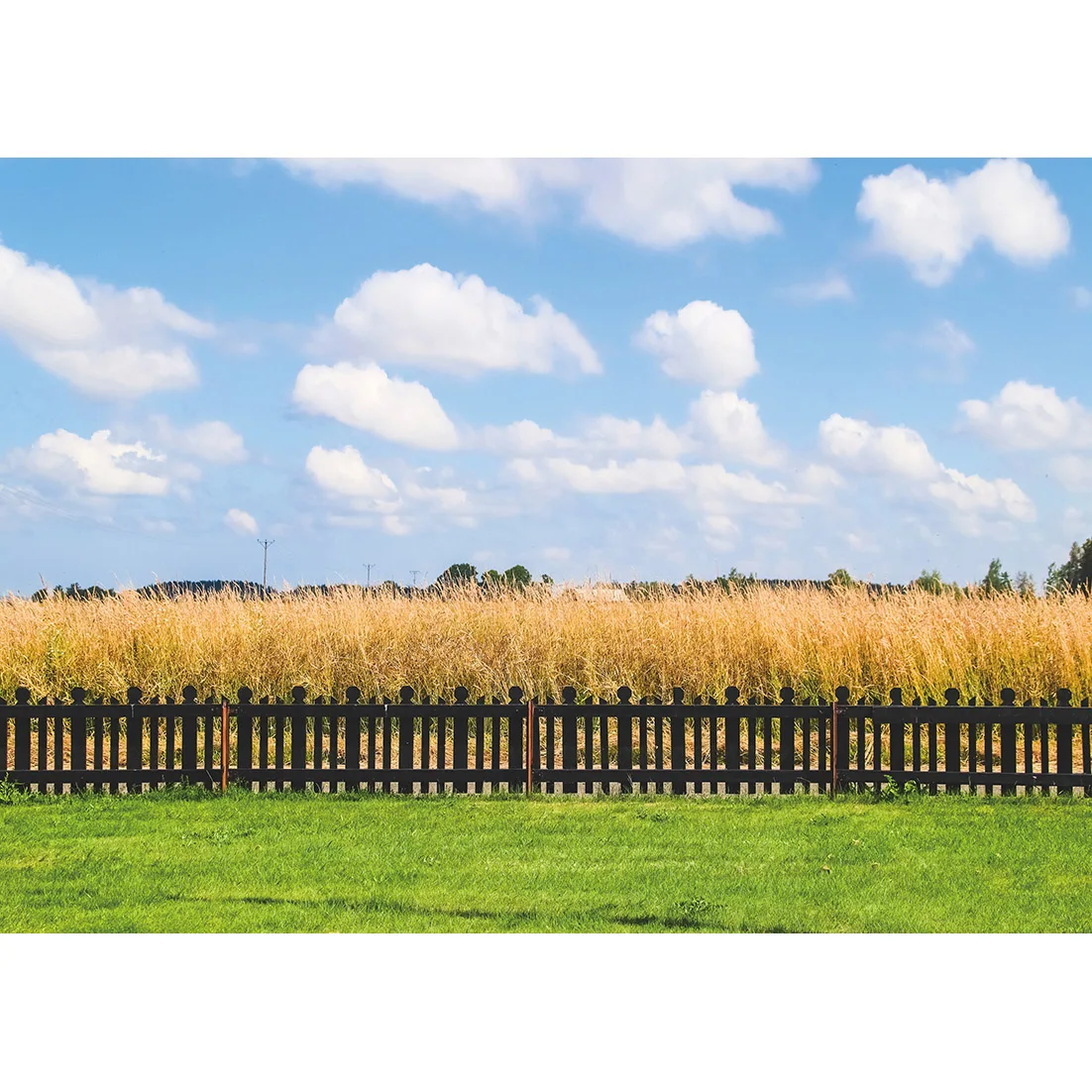 Arrière-plan de clôture de champ de blé Rural d'automne pour photographie, accessoires de Studio Photo, arrière-plan en tissu vinyle pour bébés