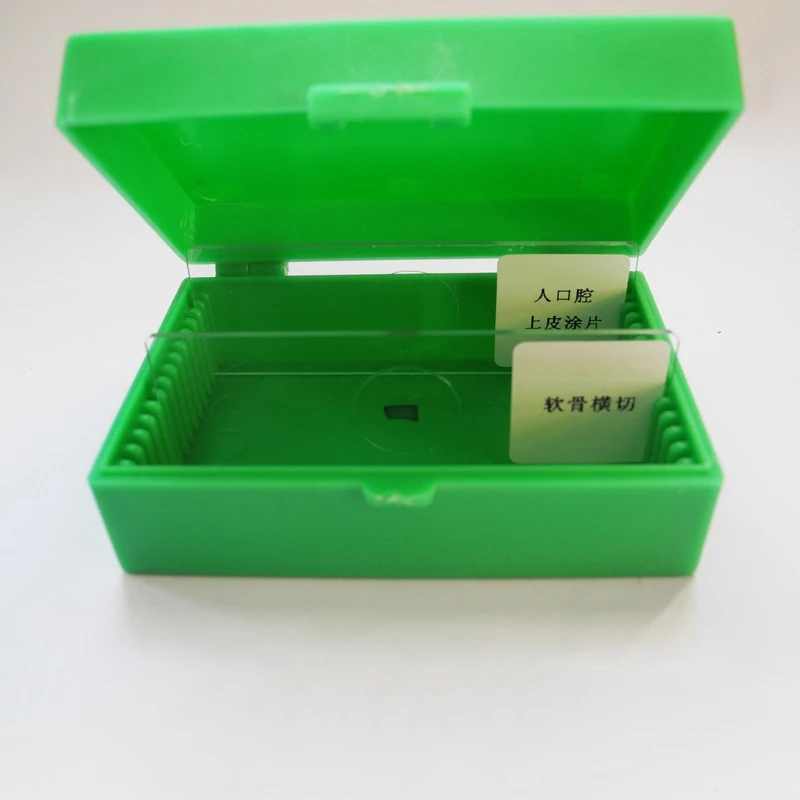 New Product Recommended 15-Piece Color Glass Box Pathological Slice Box