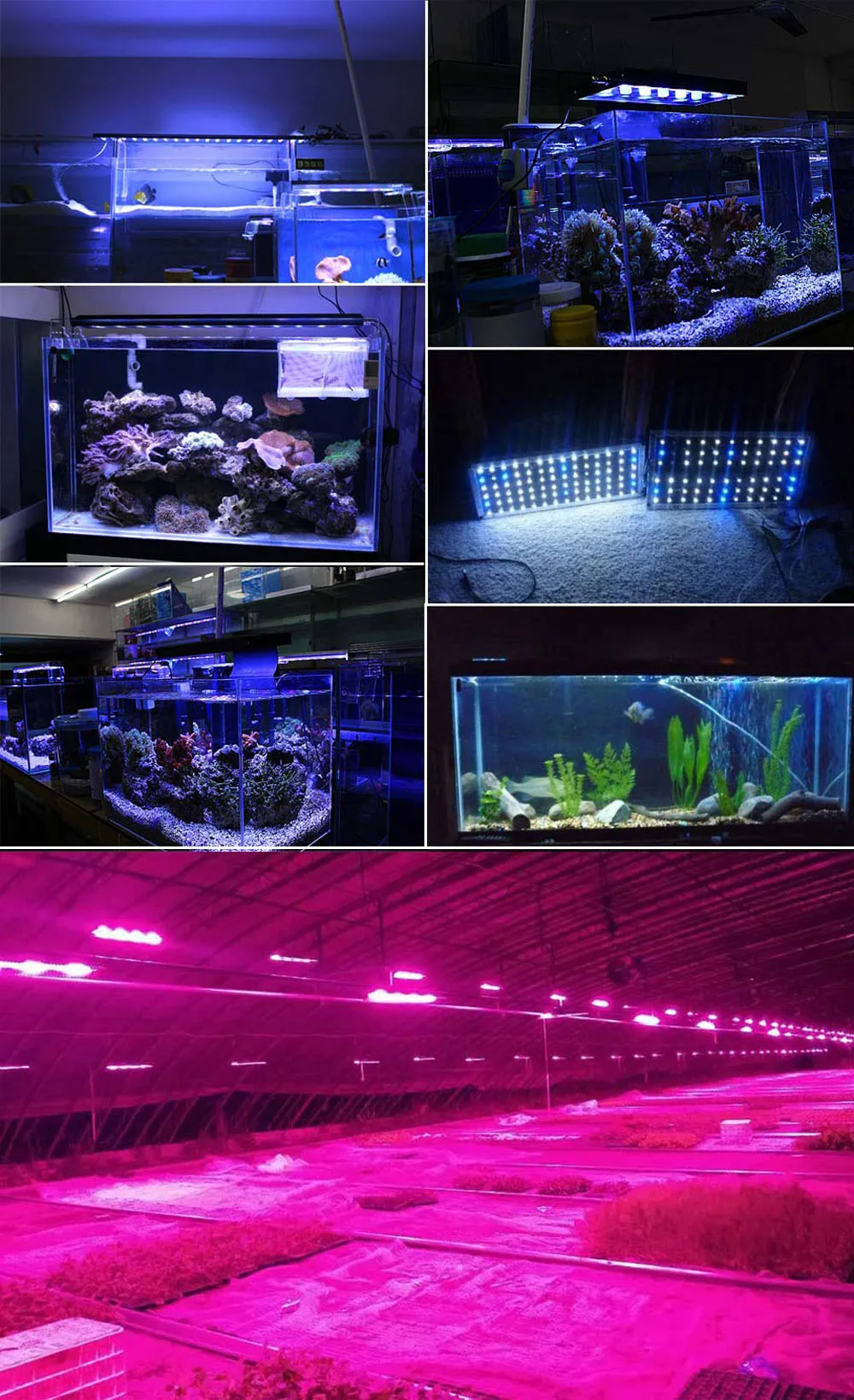 10 Stück 1 W 3 W 5 W LED-Linse 5/10/15/30/45/60/90/120 Grad Reflektor Kollimator 20 mm optische PMMA-Acryllinse – Detail 11