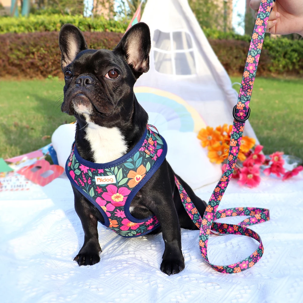 Adjustable Nylon Mesh French Bulldog Harness Leash Set Cute Printed Puppy Cat Harness Vest Leash For Small Medium Dogs Pug