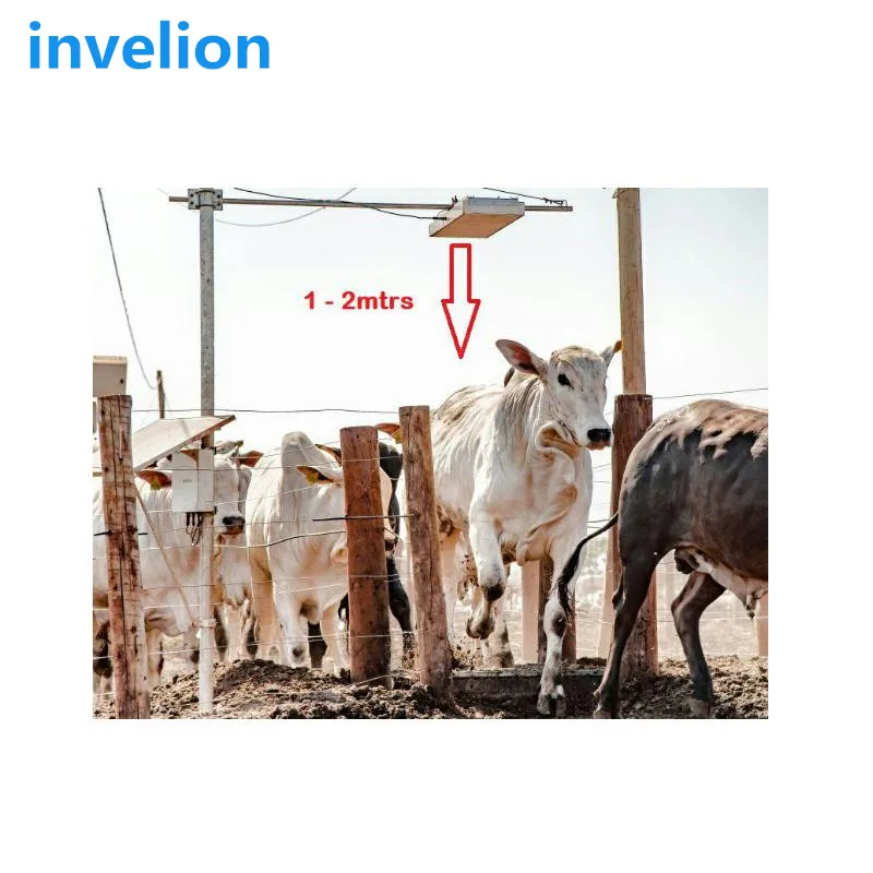 

860-960MHZ UHF RFID Ear Tags for Animal Tracking (Cattle, Cow and Sheeps)