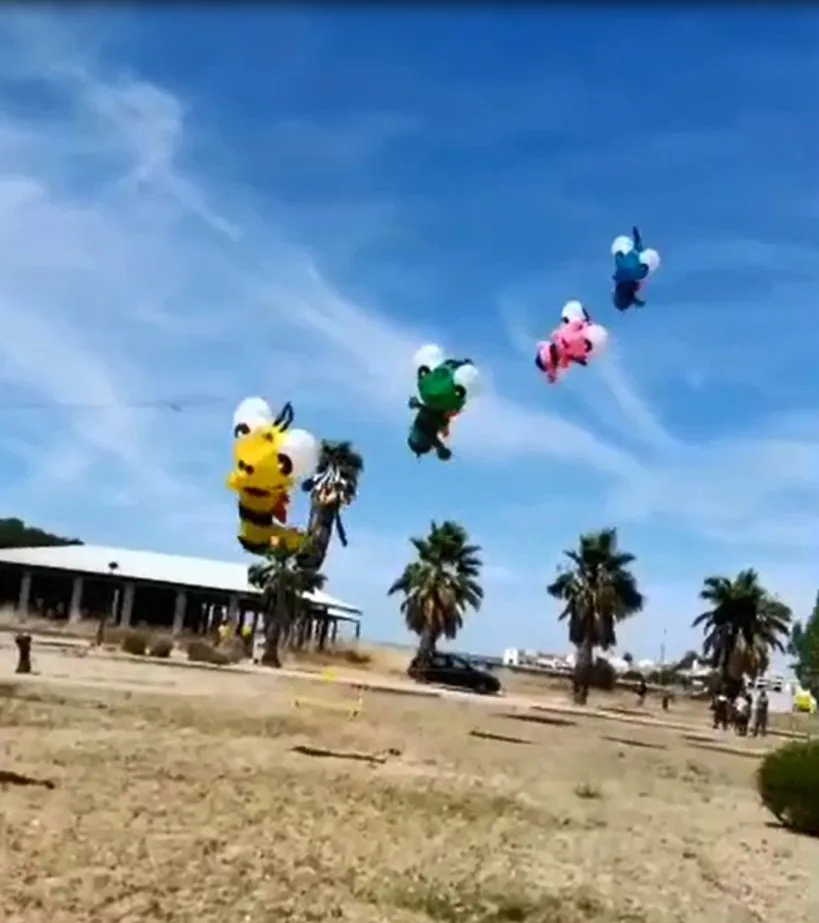 HFLY Nuovo Arrivo Morbido Gonfiabile 3m Ape Kite Linea Lavanderia per Adulti di Alta Qualità Ripstop Nylon Show Kite Ciondolo