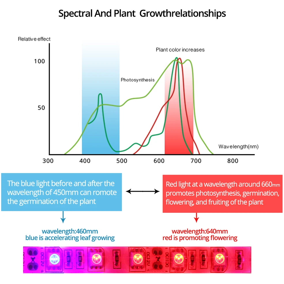 Full Spectrum Phytolamp สำหรับต้นกล้า Led สีแดง Grow 5M/ม้วน DC 12V Phytotape สำหรับพืชกันน้ำ5050ชิป5-20เมตร