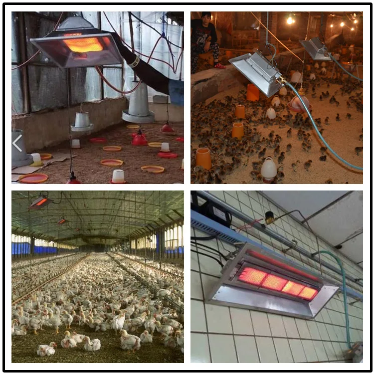 Livestock Poultry Insulation Equipment, Gas Heater, Brooding Warmer