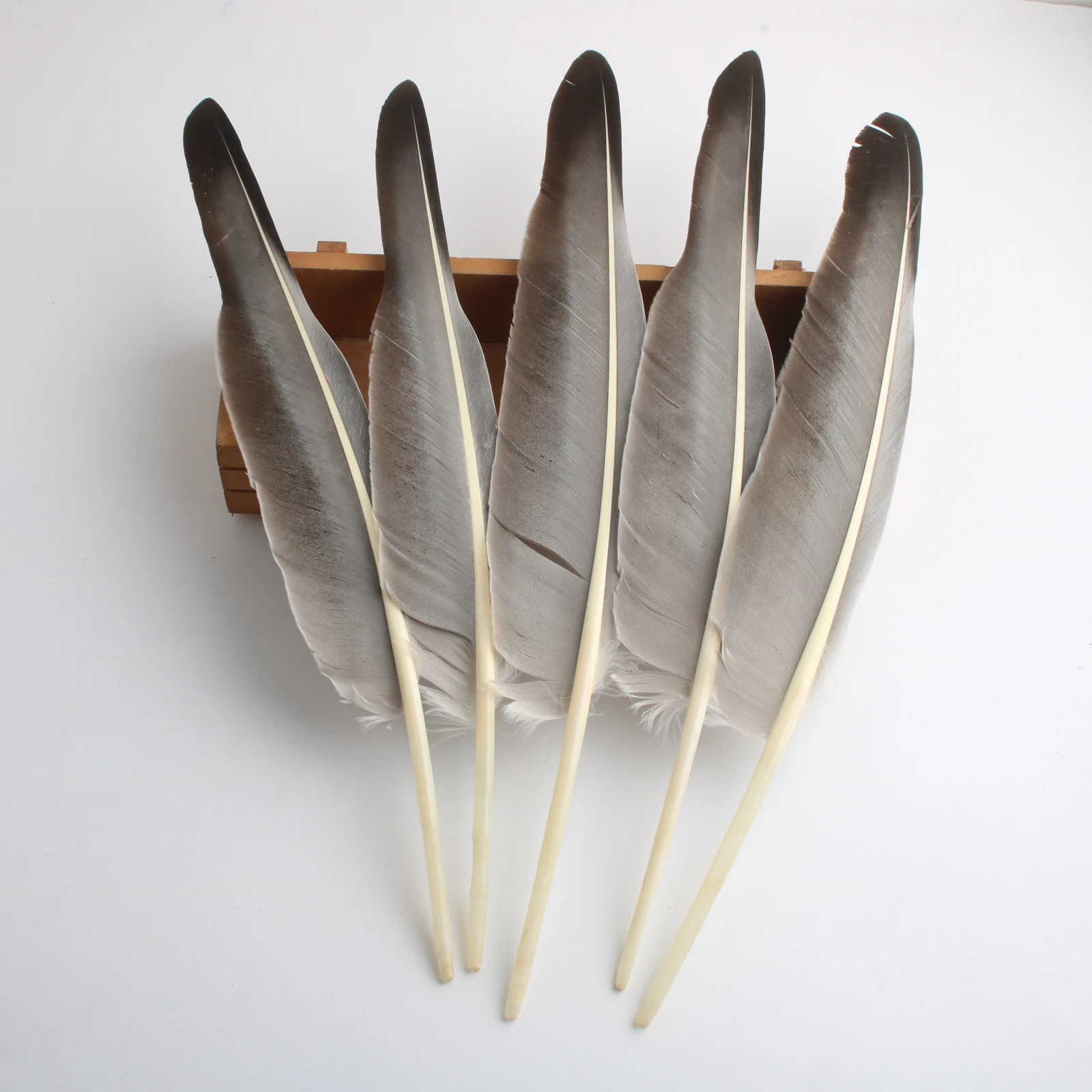 

High Quality 100pcs/lot Turkey Feathers 30-35cm/12--14inches Diy Accessories Craft DIY Decoration Plumas De Faisan