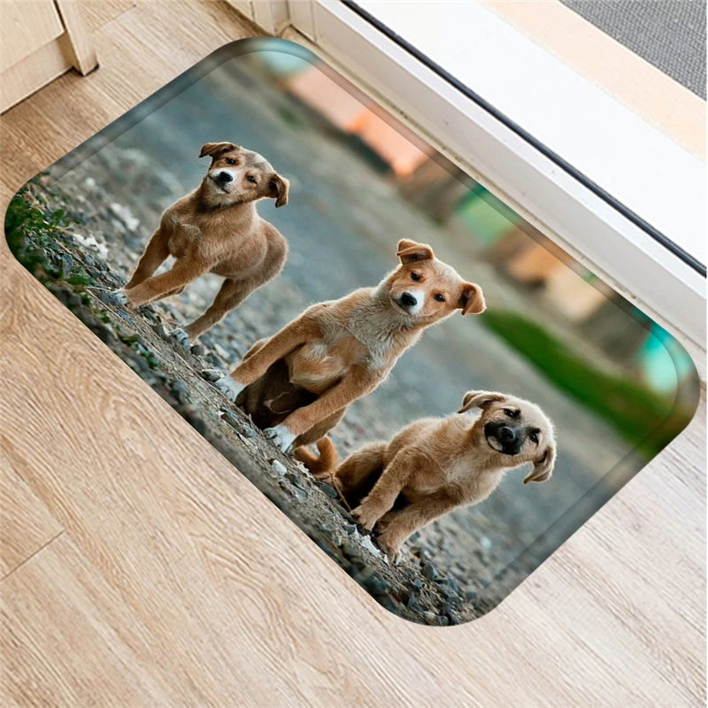 PDPHusky-Tapis en Daim Antidérapant à Motif de Chien Mignon, Polymères de Porte, Doorvirus, Extérieur, Cuisine, Salon, Polymères de Sol, lea 48302,