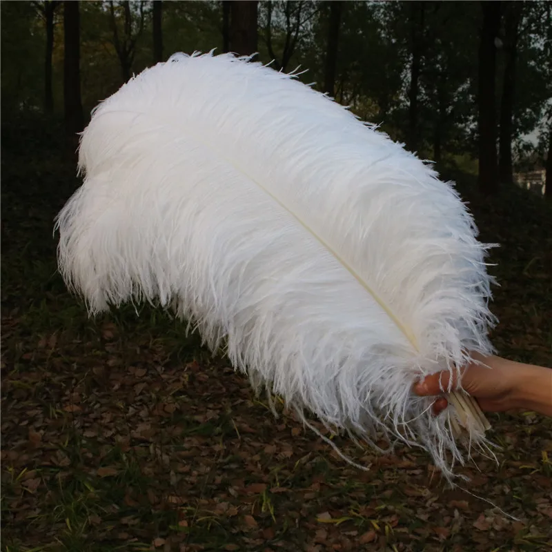 Promotion 10pcs/lot Beautiful White Ostrich Feather 45-50cm/18-20inches Accessories Diy Christmas DIY Plumas De Faisan