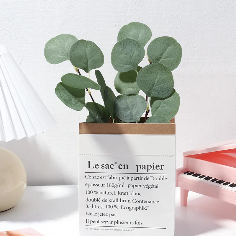 Simulazione foglie di eucalipto servizio fotografico decorazione Fotografia sfondo puntelli tavolo Fotografia materiale Studio fotografico