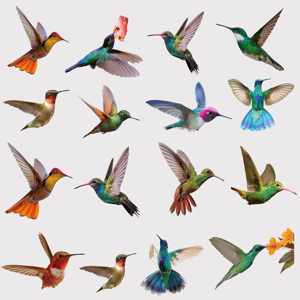 Kolibri-Fensteraufkleber, kollisionssichere Fensteraufkleber, Kolibri-Aufkleber, verhindern Vogelstände auf Fensterglas