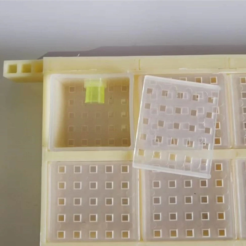 Multifunctional Plastic Queen Bee Storage Device Bee Cage Box for Queen Rearing D2TD