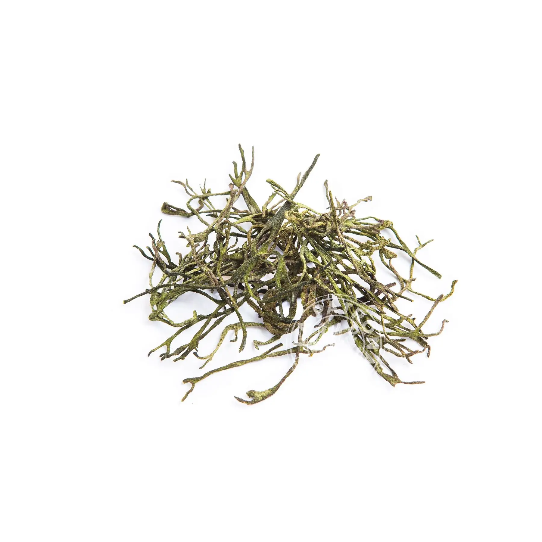 Le alghe rilevano disidratato 40G ECO-pick up fatto a mano-galizia Calidade-the patron saint