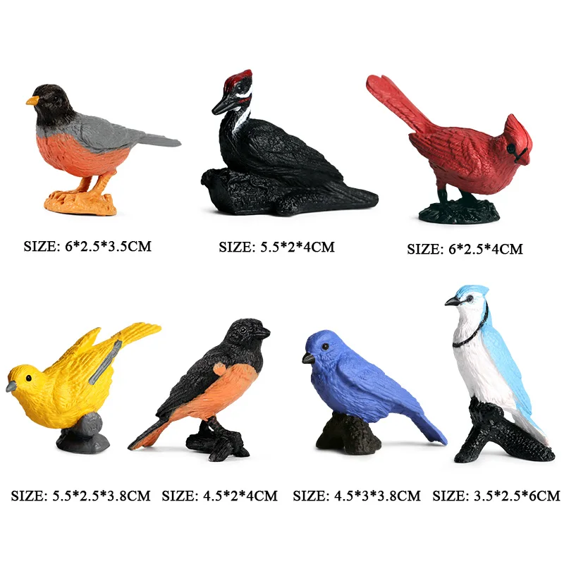 Oenux Bird Animal Parrot Flamingos Hummingbird Owl Magpie Model Action Figure Figurines Miniature Education Kid Toy Cake Toppers