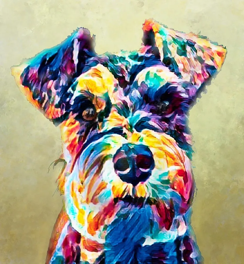 JMINE Div 5D colorful schnauzer dog Full Diamond Painting cross stitch kits art High Quality Animal 3D paint by diamonds