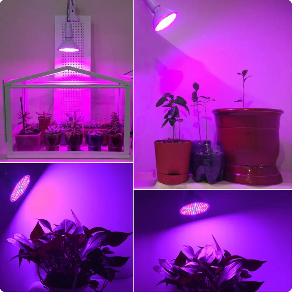 E27 LED Plants Grow light Bulb Full Spectrum Phytolamps Seedling lamp Vegetable Seeds For Plants Flowers Grow +Holder Clip