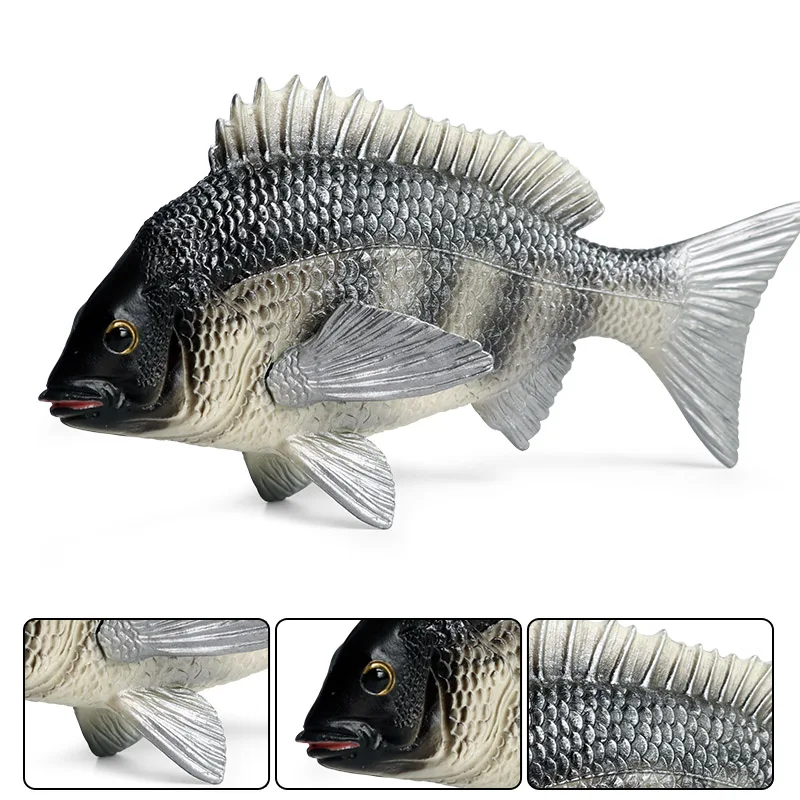Oenux Meer Leben Tiere Modell Action-figuren Ozean Fisch Segelfisch Bass Zacker Lachs Aquarium Figuren PVC Pädagogisches Kinder Spielzeug – Detail 7