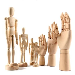Wooden Hands Model 7/10/12 Inch Male/Female/Child Left/Right Hand Drawing Model Movable Joint Art Painting Sketch Handcrafts