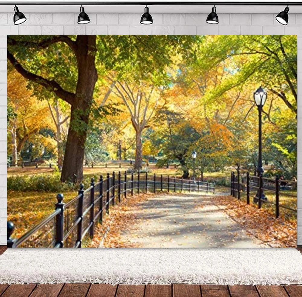 New York City Central Park Photography Backdrop Coloful Autumn Day Landscape Road Lamp Fallen Leaves Trees Natural Background