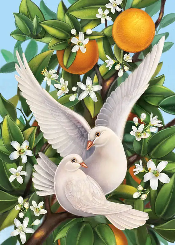 JMINE Div 5D Dove orange Flower pigeon Full Diamond Painting cross stitch kits art High Quality Animal 3D paint by diamonds