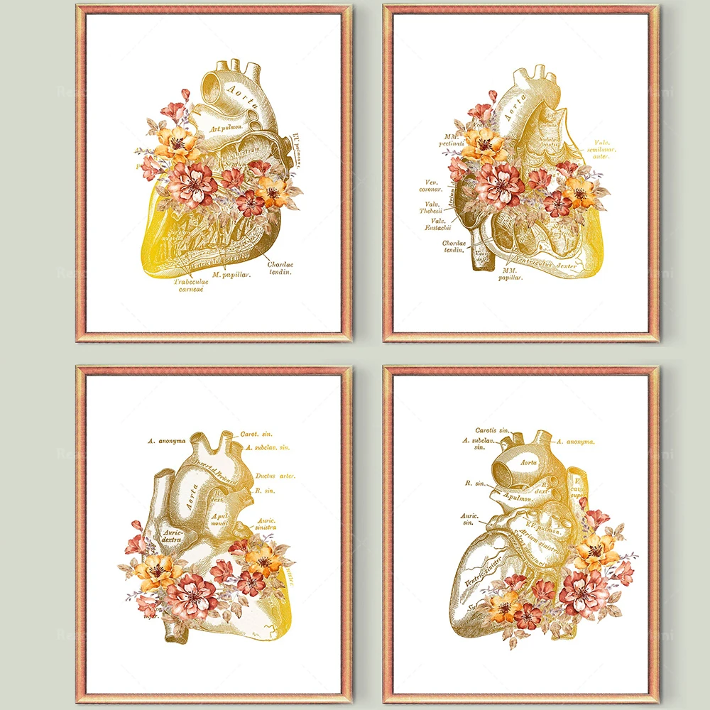 Gold Human Heart Anatomy Prints, Cardiology Art, Anatomical Heart Poster, Medical Art, Cardiologist Gift, Surgeon Gift, Doctor O